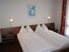 Zimmerbild 5