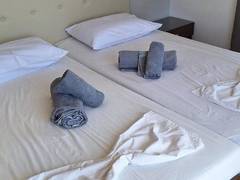 Zimmerbild 3