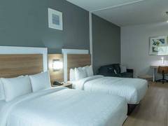 Zimmerbild 11