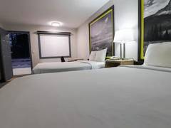 Zimmerbild 2