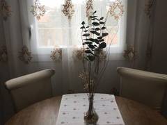 Zimmerbild 2