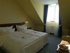 Zimmerbild 2