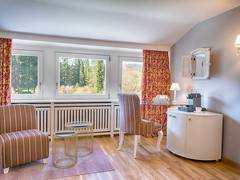 Zimmerbild 3