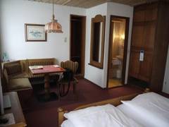 Zimmerbild 2