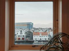 Zimmerbild 4