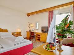 Zimmerbild 3