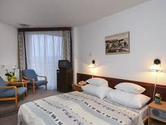 Zimmerbild 7