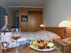 Zimmerbild 5