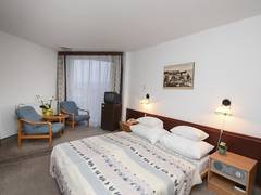 Zimmerbild 6