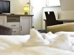 Zimmerbild 1