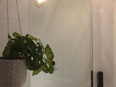 Zimmerbild 0