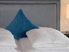 Zimmerbild 2
