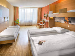 Zimmerbild 2