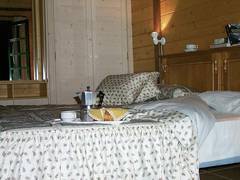 Zimmerbild 4