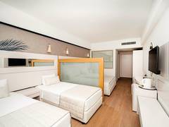 Zimmerbild 9