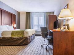 Zimmerbild 7