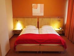 Zimmerbild 4
