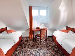 Zimmerbild 7
