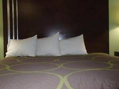 Zimmerbild 2