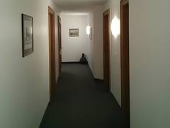 Zimmerbild 4