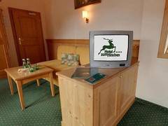 Zimmerbild 19