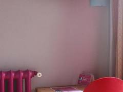 Zimmerbild 10