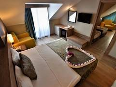 Zimmerbild 15
