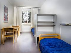 Zimmerbild 2
