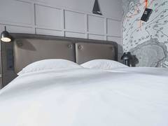 Zimmerbild 1
