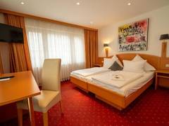 Zimmerbild 3