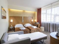 Zimmerbild 1