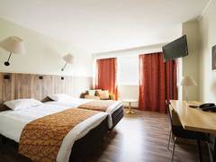 Zimmerbild 1