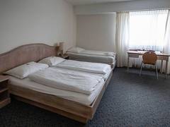 Zimmerbild 1