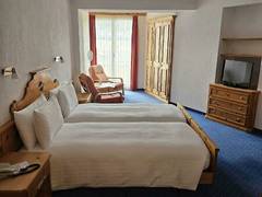 Zimmerbild 4