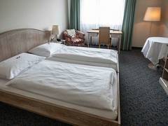 Zimmerbild 2