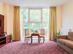 Zimmerbild 8