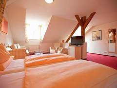 Zimmerbild 1