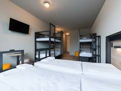 Zimmerbild 6