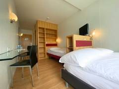 Zimmerbild 2