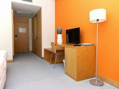 Zimmerbild 8