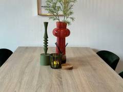 Zimmerbild 1