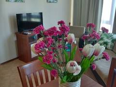 Zimmerbild 0