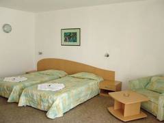 Zimmerbild 6