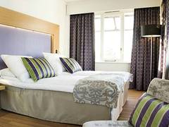 Zimmerbild 3