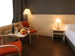 Zimmerbild 2