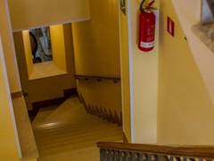 Zimmerbild 1