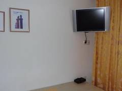 Zimmerbild 5
