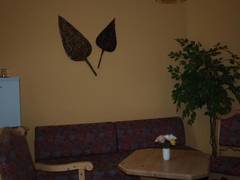 Zimmerbild 3