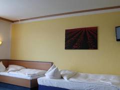 Zimmerbild 3