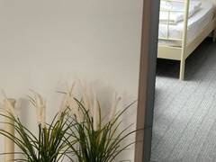 Zimmerbild 3